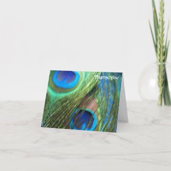 Two Blue Peacock Feathers Wedding Thank You Cards by Peacocks at Zazzle