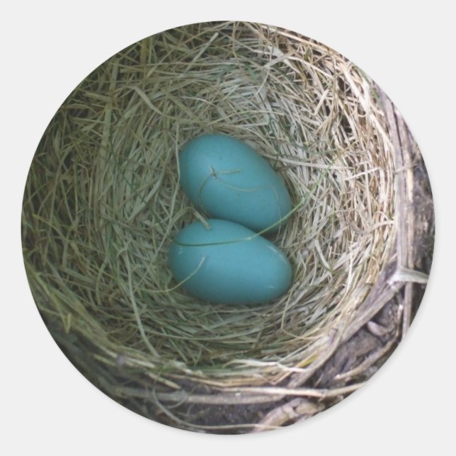 Two Blue Robin's Eggs in Nest Classic Round Sticke Classic Round Sticker (Front)