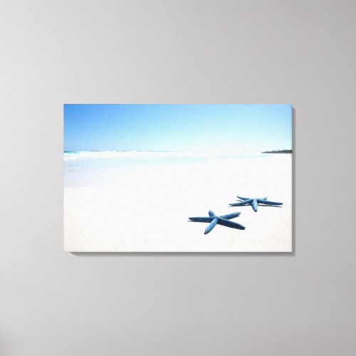 Two blue starfish at waters edge on tropical 2 canvas print