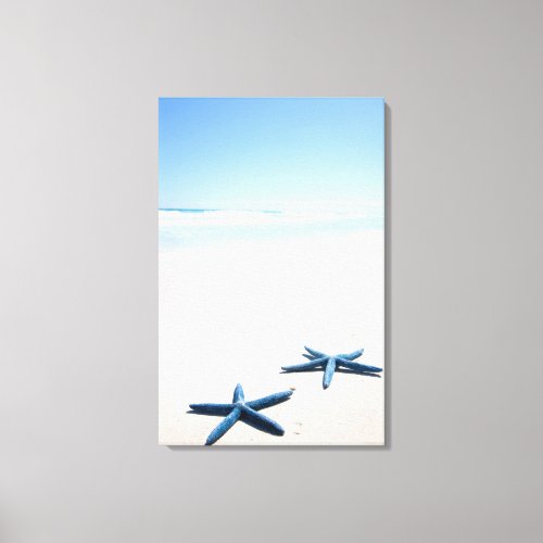 Two blue starfish at waters edge on tropical canvas print
