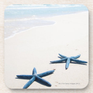 Two blue starfish at water's edge on tropical coaster