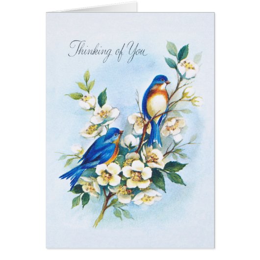 Two Bluebirds Cards (Front)