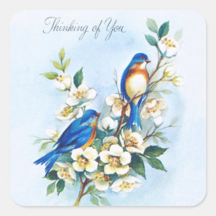 Two Bluebirds Square Sticker