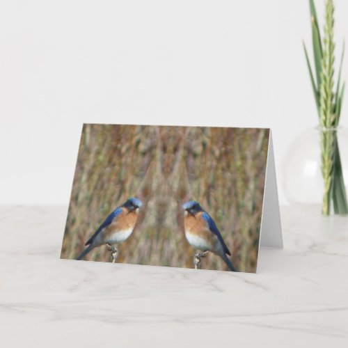 Two Bluebirds with Angel Card