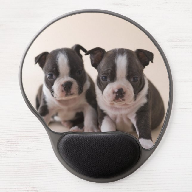 Two Boston Terrier Puppies Gel Mouse Pad (Front)