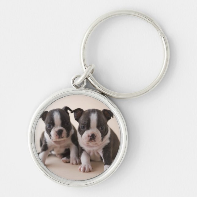 Two Boston Terrier Puppies Keychain (Front)