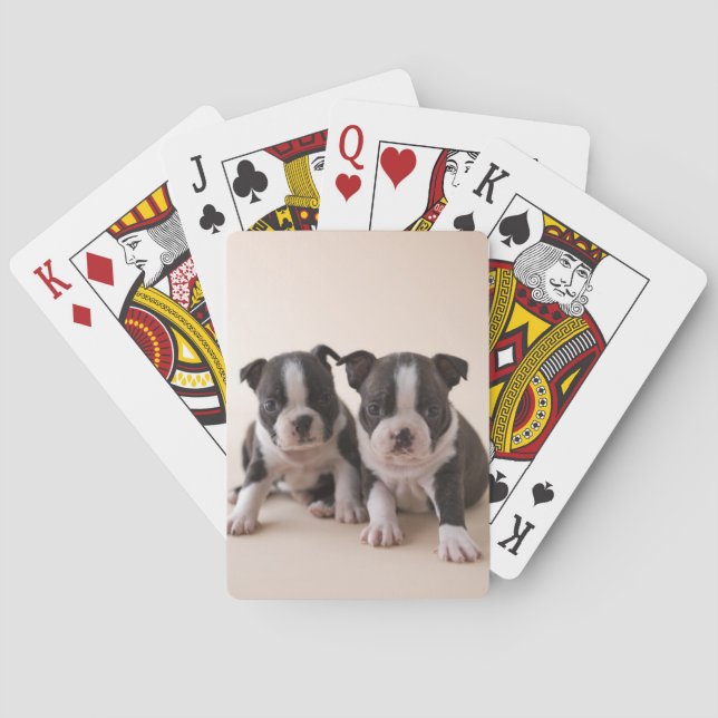 Two Boston Terrier Puppies Poker Cards (Back)