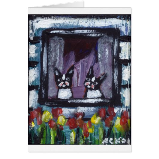 two bostons in window cards (Front)