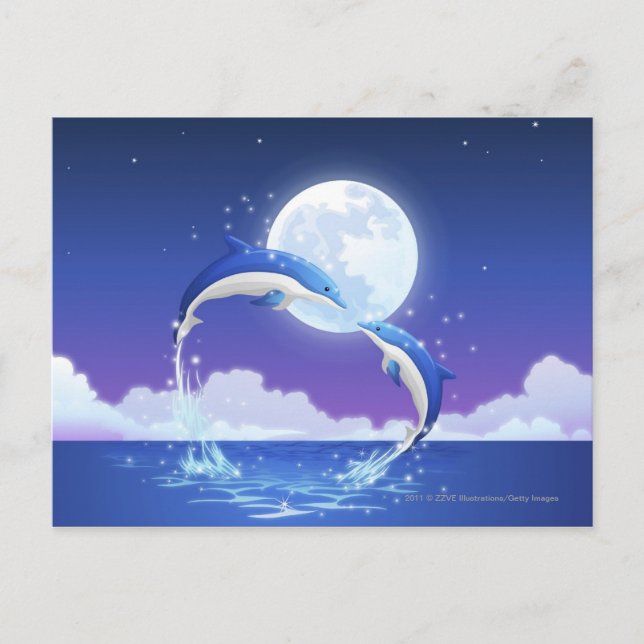 Two bottle-nosed dolphins jumping out of water postcard (Front)
