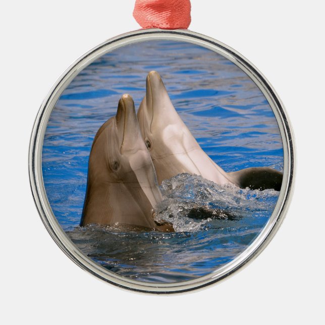 Two bottlenose dolphins metal ornament (Front)