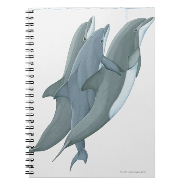 Two Bottlenosed Dolphins Notebook (Front)