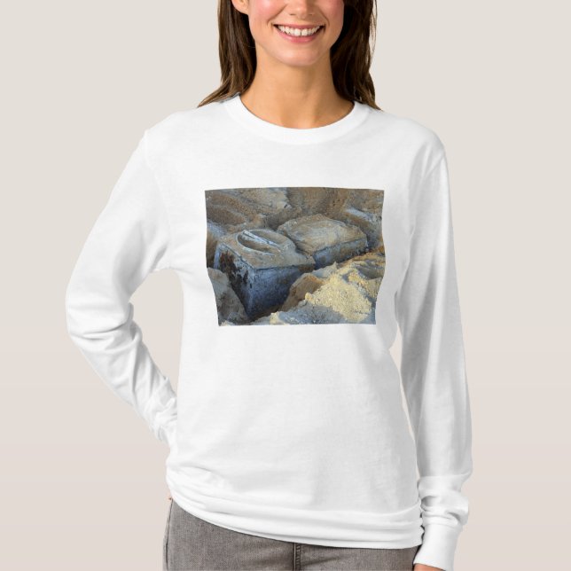 Two box-type devices packed T-Shirt (Front)