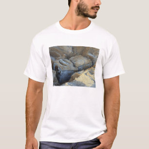 Two box-type devices packed T-Shirt