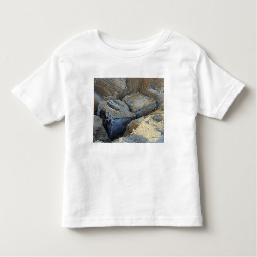 Two box_type devices packed toddler t_shirt