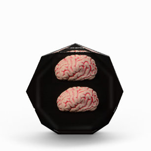 Two Brains are Better than One Award