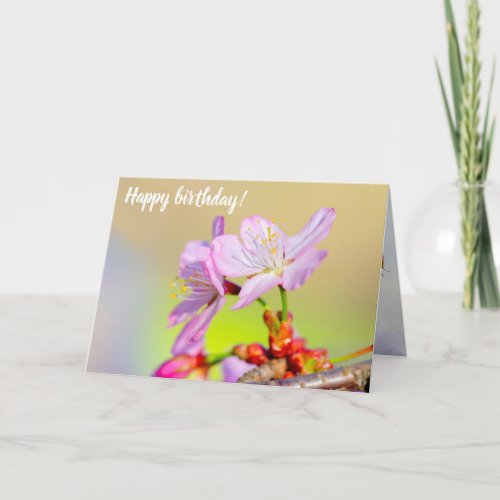 Two Brave Sakura Flowers And Colorful Background Card