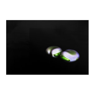 Two Broad Beans 36x24 (90x60cm) waacna Acrylic Print