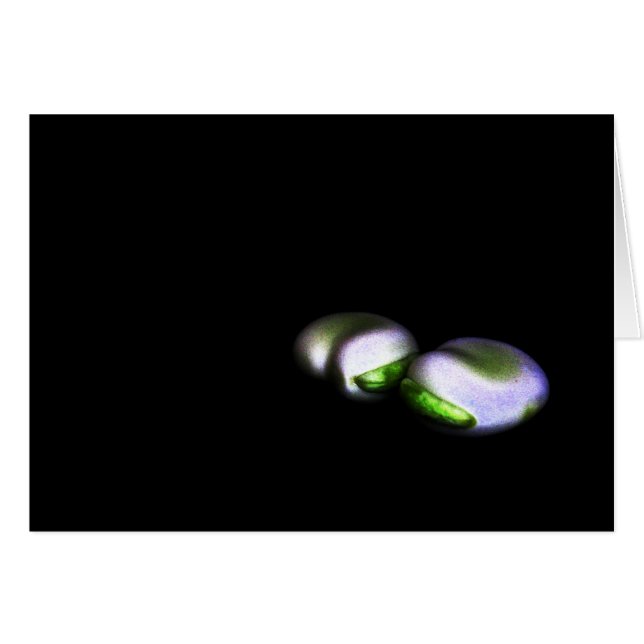 Two Broad Beans gccna Cards (Front Horizontal)