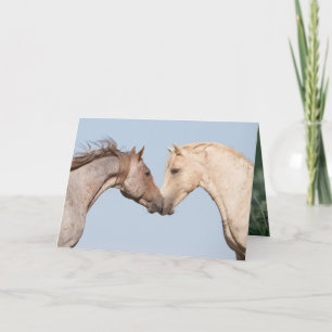 Two Brothers Meet - Wild Horse Greeting Card