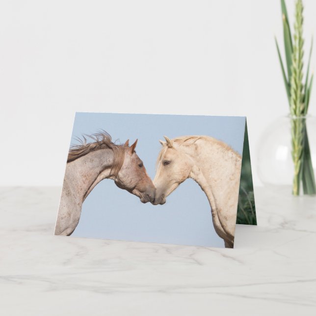 Two Brothers Meet - Wild Horse Greeting Card (Front)