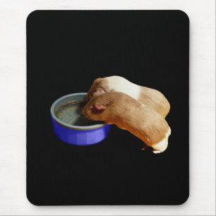 Two Brown And White Guinea Pigs, Mouse Pad