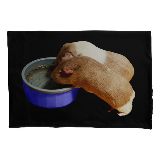 Two Brown And White Guinea Pigs,   Pillow Case (Front)