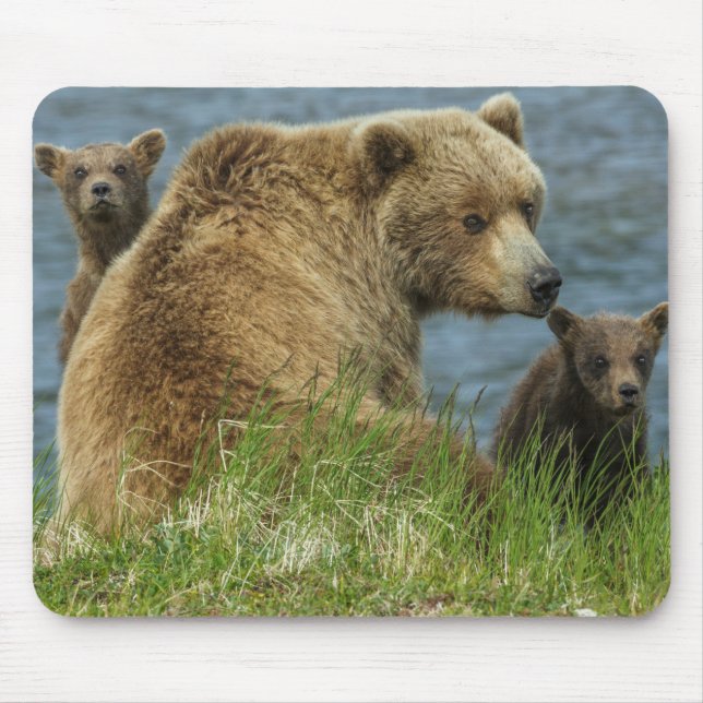 Two Brown Bear Cubs with Mother by the Water Mouse Pad (Front)