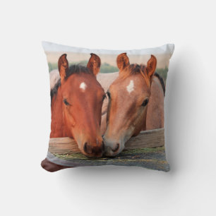 Two Brown Horses on a Farm Photo Pillow