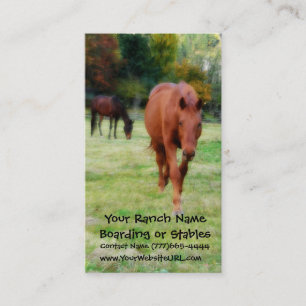 Two Brown Horses on Pasture Business Card