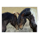Two Brown Wild Horses Nuzzling (Front Horizontal)