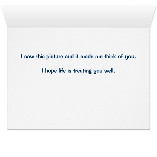 Two Brown Wild Horses Nuzzling (Inside Horizontal (Bottom))