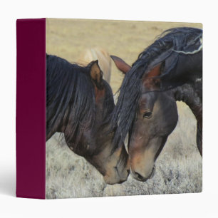 Two Brown Wild Horses Nuzzling Binder
