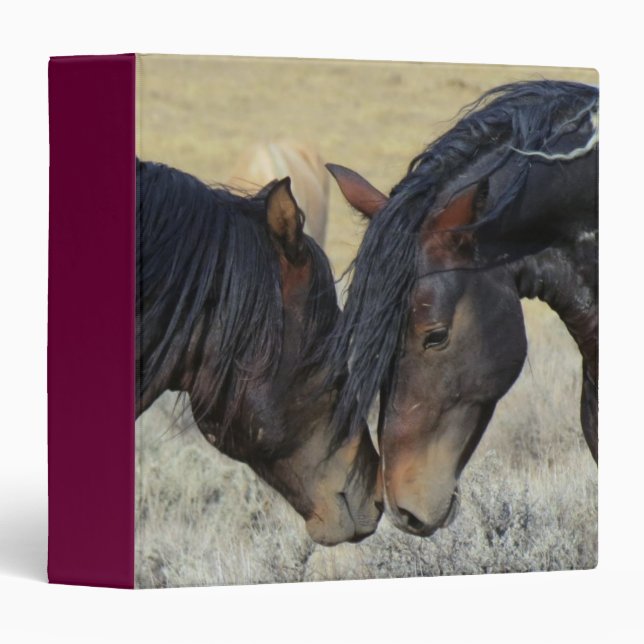 Two Brown Wild Horses Nuzzling Binder (Front/Spine)