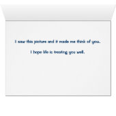 Two Brown Wild Horses Nuzzling Cards (Inside Horizontal (Bottom))