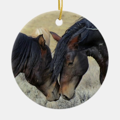 Two Brown Wild Horses Nuzzling Ceramic Ornament
