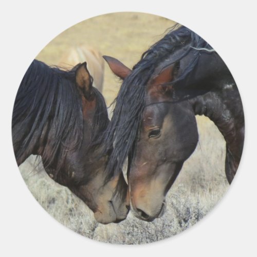 Two Brown Wild Horses Nuzzling Classic Round Sticker