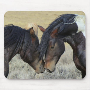 Two Brown Wild Horses Nuzzling Mouse Pad