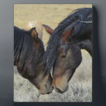 Two Brown Wild Horses Nuzzling Plaque<br><div class="desc">A pair of brown wild horses sharing a tender moment in a grassy field. These two brown paint horses can be seen gently nuzzling each other,  enjoying each others company. Their tousled manes blowing in the breeze. Displaying power,  kindness and freedom. Great for horse lovers.</div>