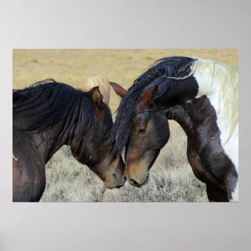 Two Brown Wild Horses Nuzzling Poster