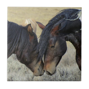 Two Brown Wild Horses Nuzzling Tile