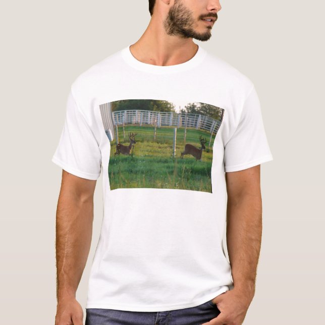 Two Bucks T-Shirt (Front)