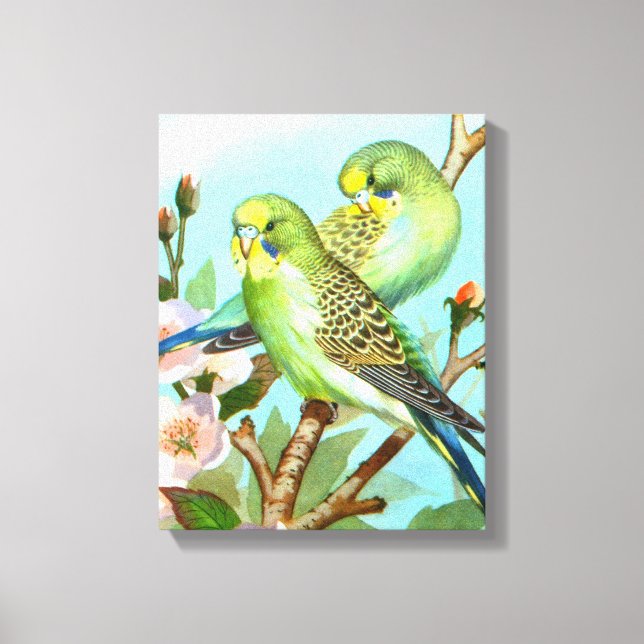 Two budgerigars bird canvas print (Front)
