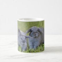 Two bunnies mug