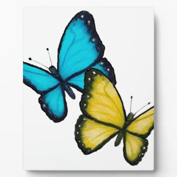 Two Butterflies: Color Pencil Drawing  Realism Art Plaque by joyart at Zazzle
