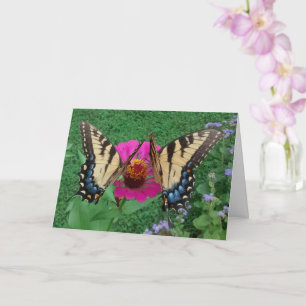 Two Butterflies Sharing a Pink Zinnia, Blank Card