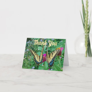 Two Butterflies Sharing a Pink Zinnia Thank You Card
