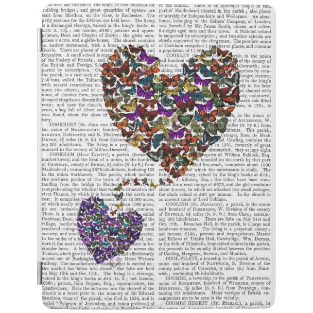 Two Butterfly Hearts iPad Air Cover (Front)