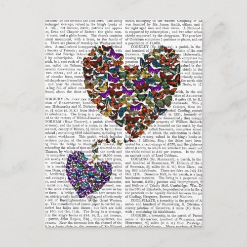 Two Butterfly Hearts Postcard
