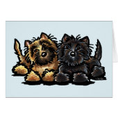 Two Cairn Terriers (Front Horizontal)