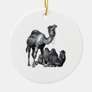 Two camels One standing One lying down drawing Ceramic Ornament